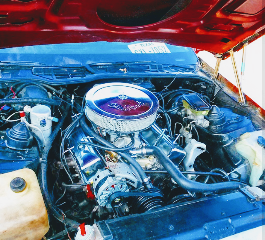 Custom 305 motor